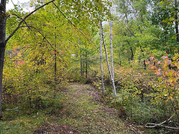 5th image of 51181 Sand Creek Rd