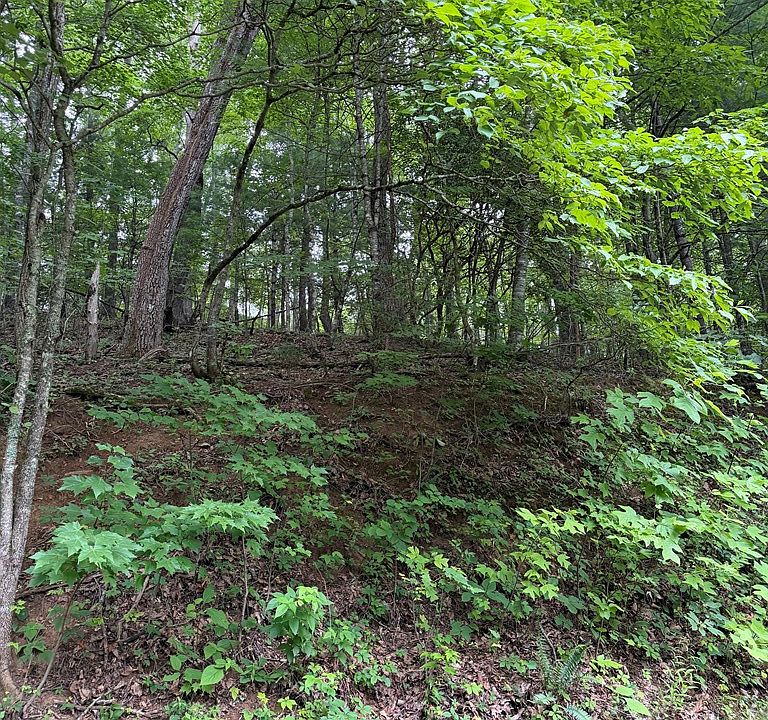 2nd image of 38-41 Winding Way Dr