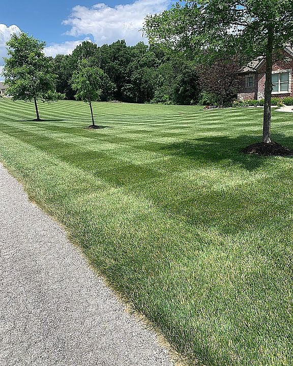 2nd image of 250 Lake Forest Dr