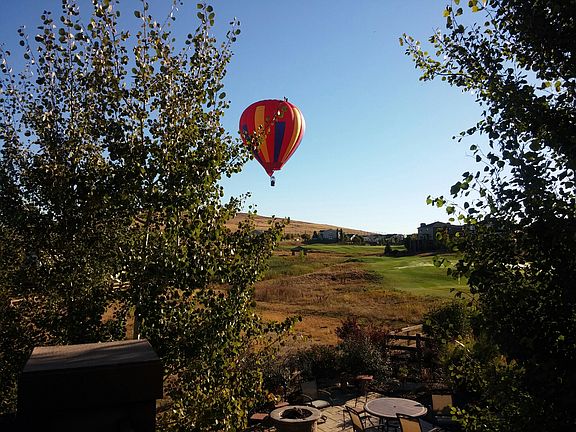 Hot air balloons in our yard