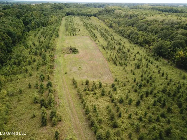 Darling Rd, Darling, MS 38623