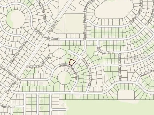 SE Fisher Lane Pl, Ocklawaha, FL 32179