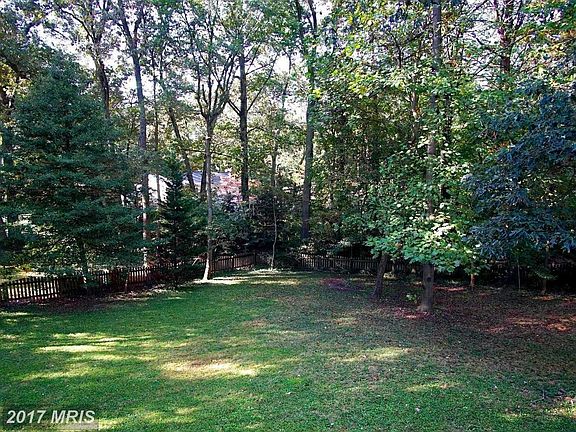 Tree-Bordered Fenced Yard Awaiting Pets and Play!