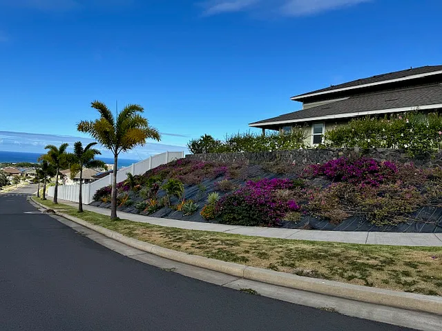 213 Kilioopu St — Photo 56