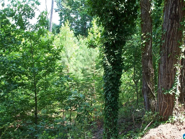 850 Sardis Rd #1, Cragford, AL 36255