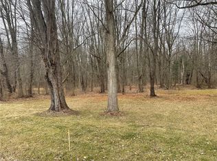 0 Brewer Rd, Waterloo, NY 13165