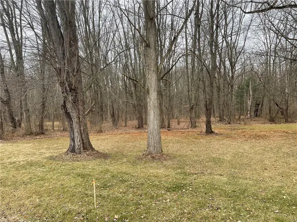 0 Brewer Rd, Waterloo, NY 13165