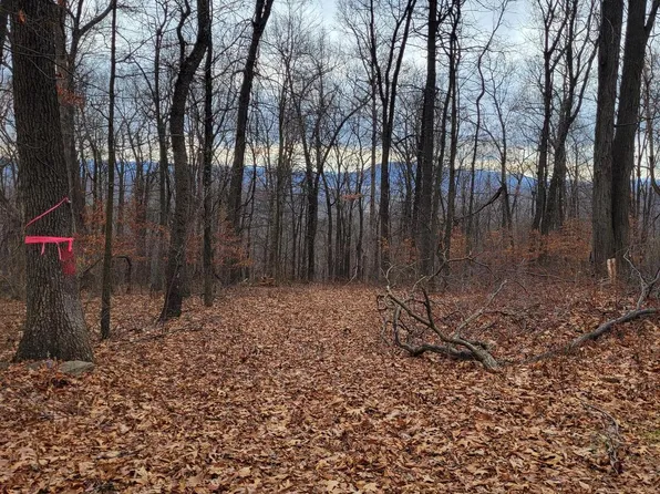 3787 Old Martinsburg Grade Rd, Augusta, WV 26704