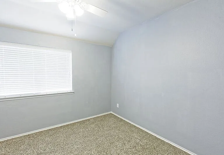 1201 Rain Fern Dr — Photo 12