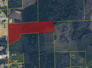 0 N County Road 229, Raiford, FL 32083