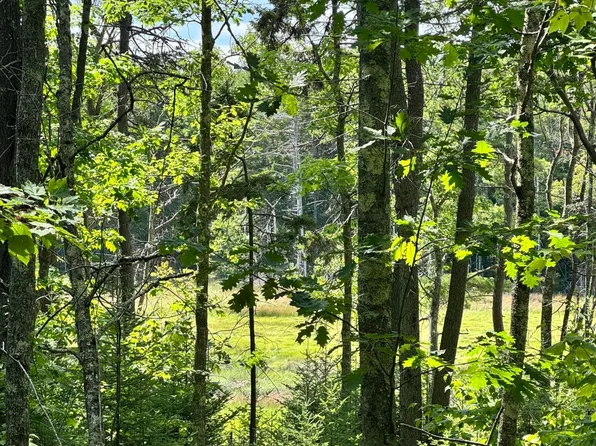 0 Henry Creek Way, Harpswell, ME 04079