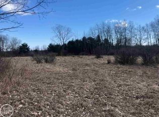 Roach Rd, Lexington, MI 48450