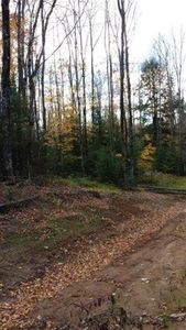 Bohemia Twp, Mass City, MI, 49948