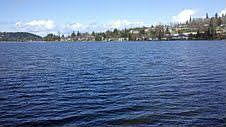 100' of lakefront