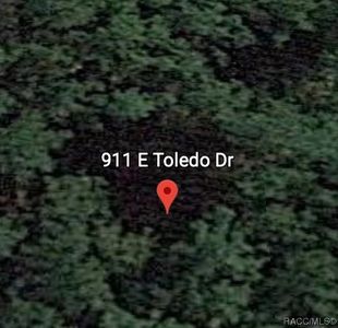 911 E Toledo Dr, Citrus Springs, FL, 34434
