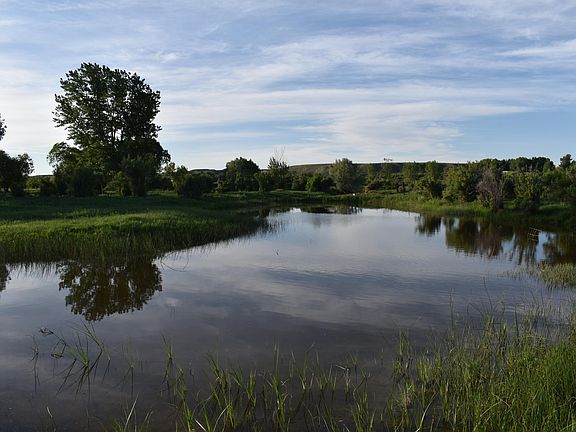 5th image of 3634 Highway 431