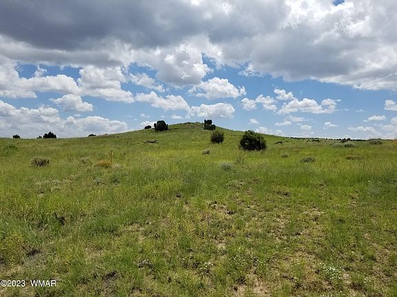 3rd image of 130 Taylor Farms Dr