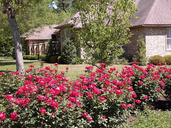 Lot joins 1405 Boxwood Crt
