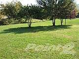 pretty lawn