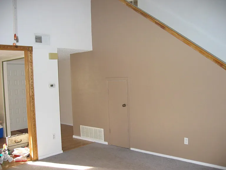 Under the stairs storage along with a closet in the entryway.