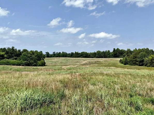 Polk Rd #283, Hatfield, AR 71945