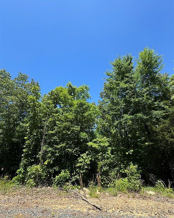 2nd image of 27 Mountain Bluff Trail