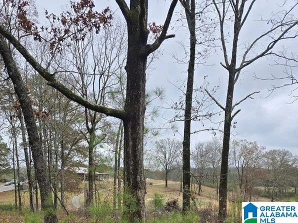 0 Capricorn Dr #0, Alpine, AL 35014