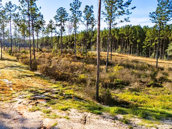 LOT 2 Blackbuck Dr, Moscow, TX 75960