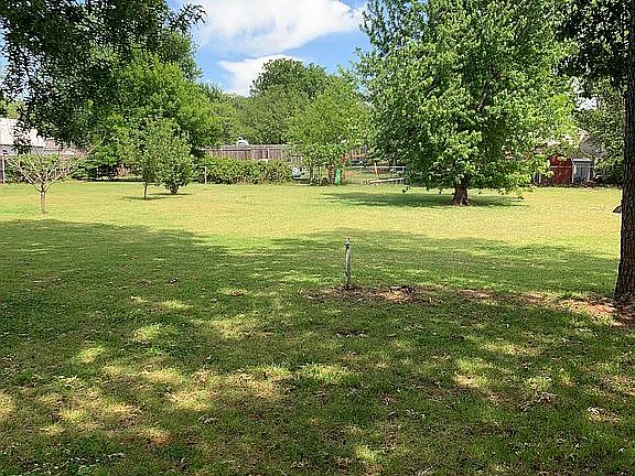 Backyard 1/2 acre. 