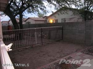 Back yard