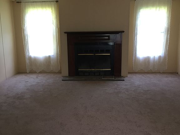 wood burning fireplace