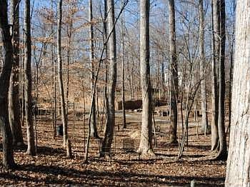 2nd image of 1616 Cavell Ct