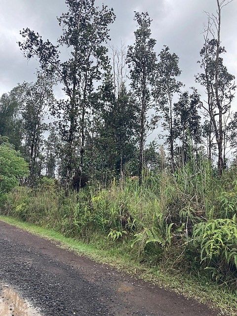 2nd image of Road 9 Koloa Maoli Lot 5439