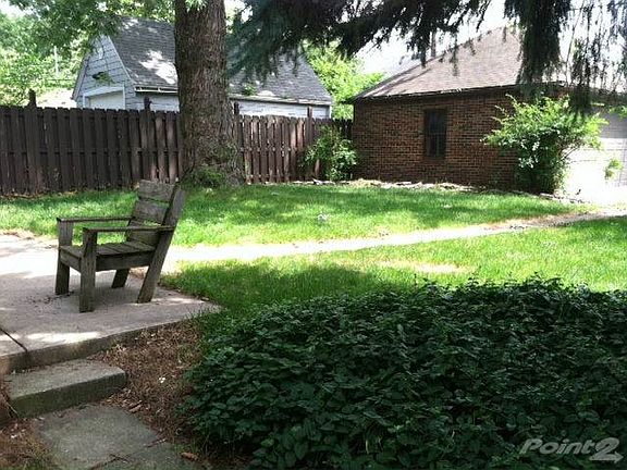 Back yard
