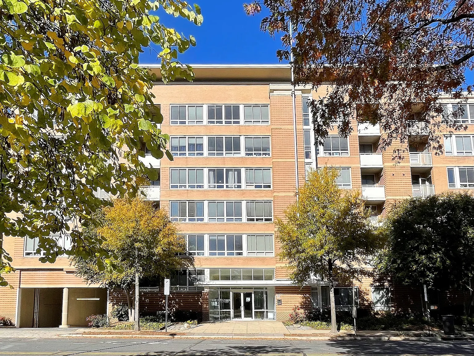 Studio, 590 sqft, $1,695 — Photo 3