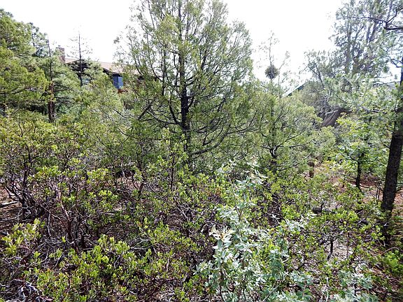 3rd image of 4801 S Manzanita Way