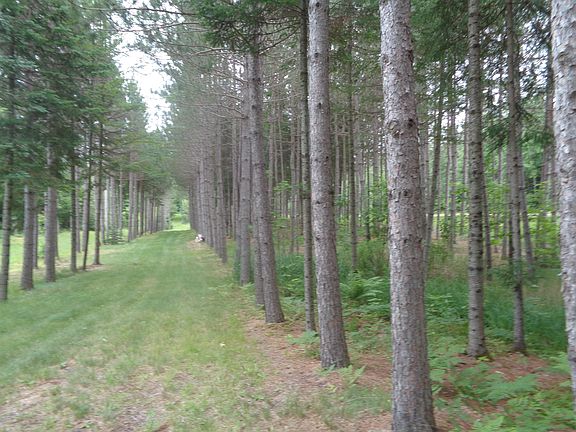 MAINTAINED TRAIL SYSTEM