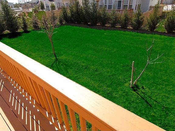 Large Deck & Backyard