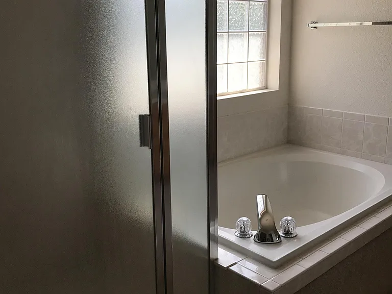 Master bath and tub