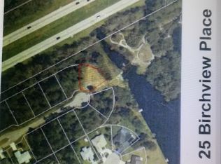 25 Birchview Pl, Palm Coast, FL 32137