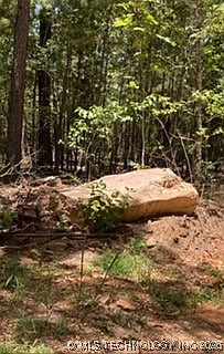 3rd image of Whispering Pines Loop
