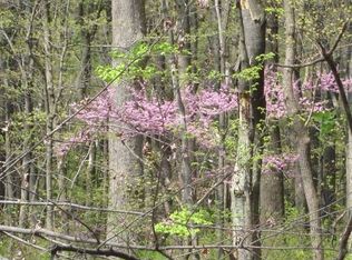 145 Wellspring Rd, Bentonville, VA 22610