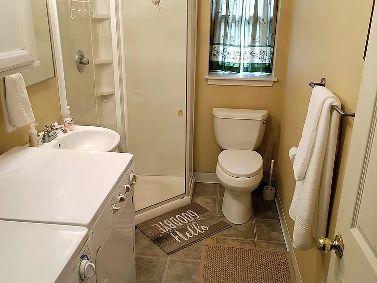 downstairs shower with laundry (previous machines)