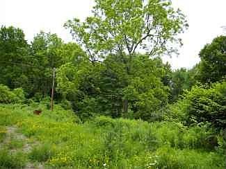 1st image of 0 Schwerdtfeger Road