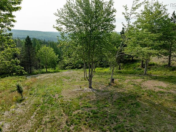 3rd image of Highway 19 Hawleys Hl Lot 3
