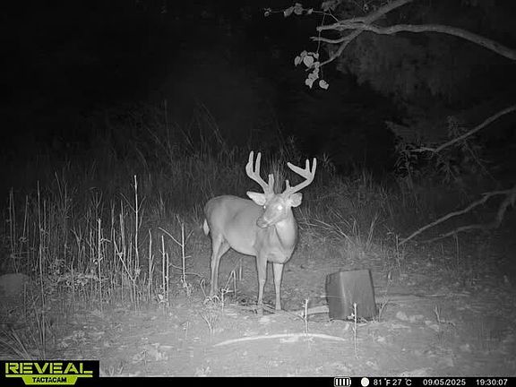 2nd image of 0 Nichols Ln