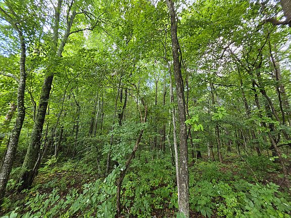 5th image of 12 Valley View Dr Lot 12