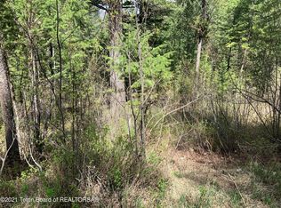 LOT 842 Sunset Dr, Alpine, WY 83128