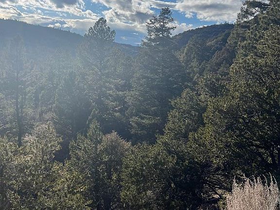 5th image of Forbes Rd