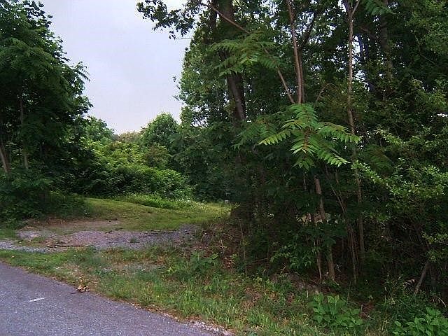 DSCF2582